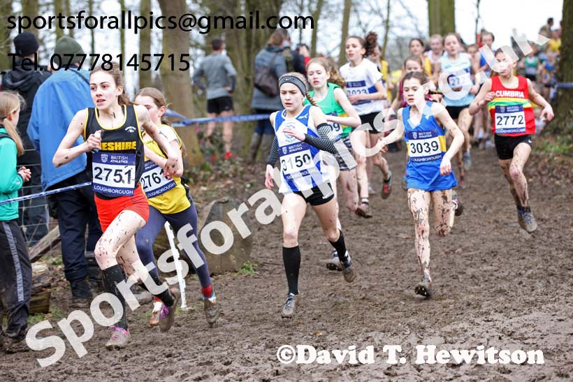 Girls under-13s 2018 British Inter Counties Cross Country Champs., Prestwold Hall, Loughborough. Photo: David T. Hewitson/Sports for All Pics